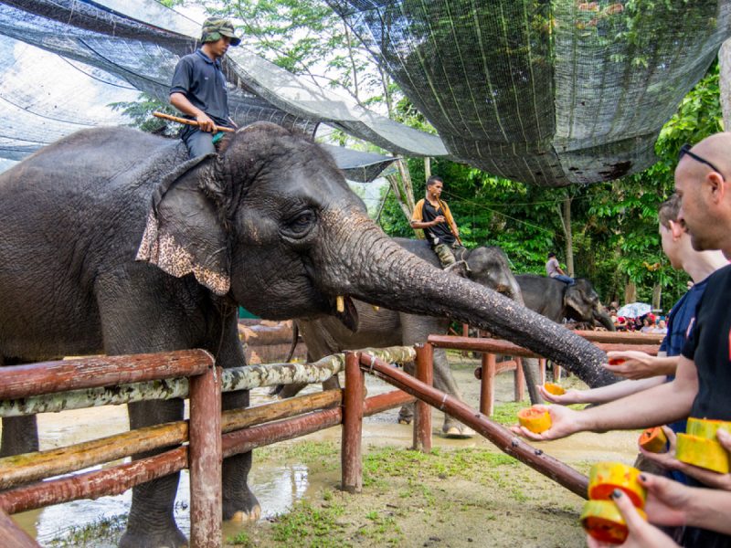vacation malaysia