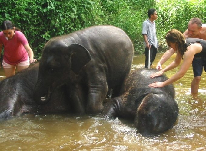 No.1 Travel Site in Malaysia