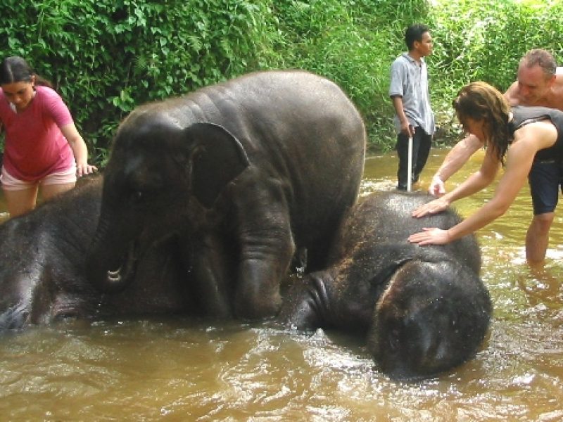 No.1 Travel Site in Malaysia