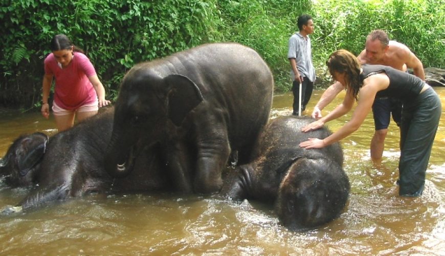 No.1 Travel Site in Malaysia