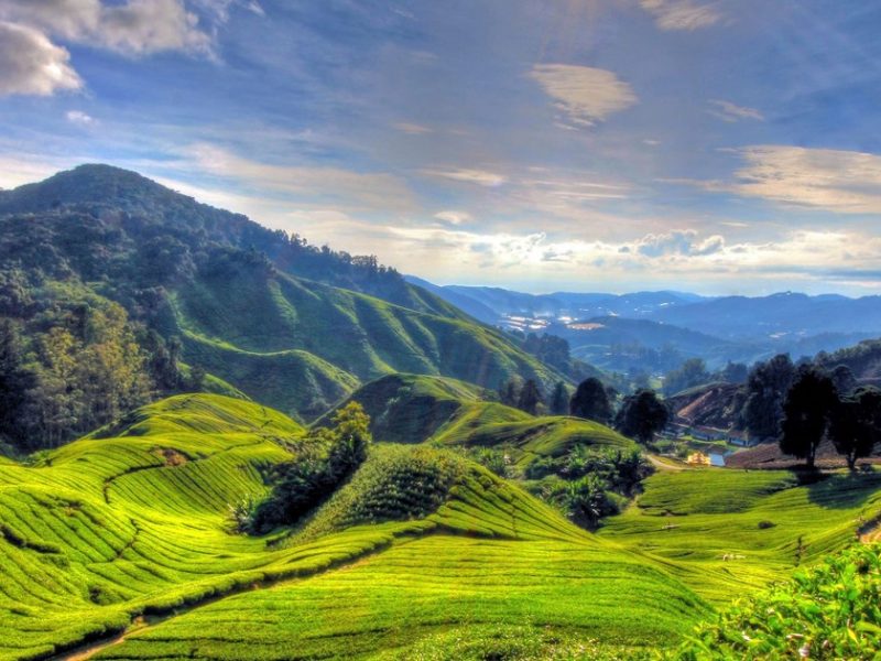 No.1 Travel Site in Malaysia