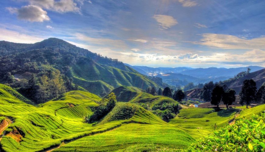 No.1 Travel Site in Malaysia